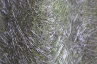 Oldcotes fibreglass roof work